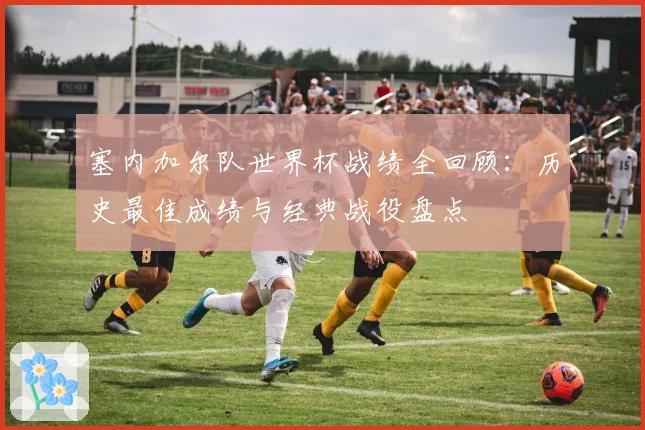 塞内加尔队世界杯战绩全回顾：历史最佳成绩与经典战役盘点