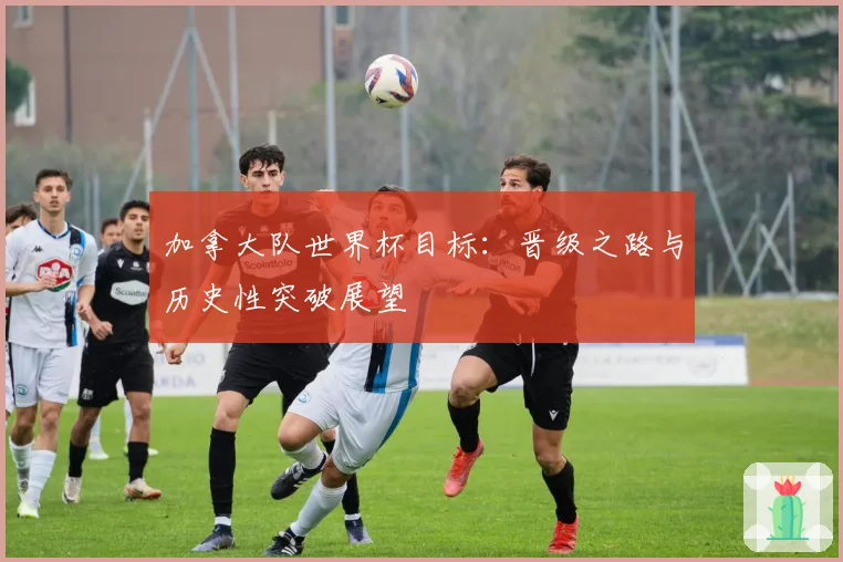 加拿大队世界杯目标：晋级之路与历史性突破展望