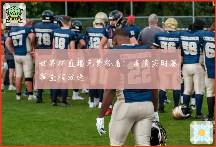 世界杯直播免费观看：高清实时赛事全程放送