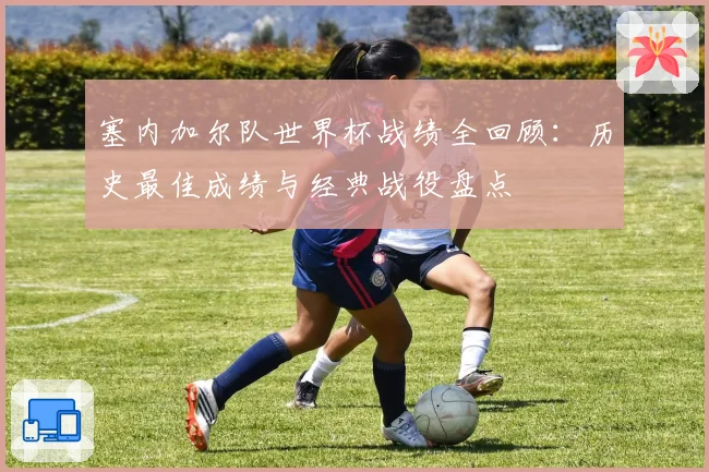 塞内加尔队世界杯战绩全回顾：历史最佳成绩与经典战役盘点